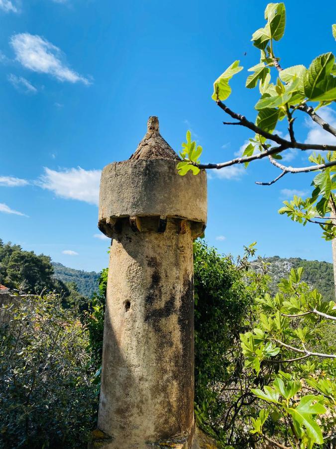 Villa Iva Lastovo Uble エクステリア 写真