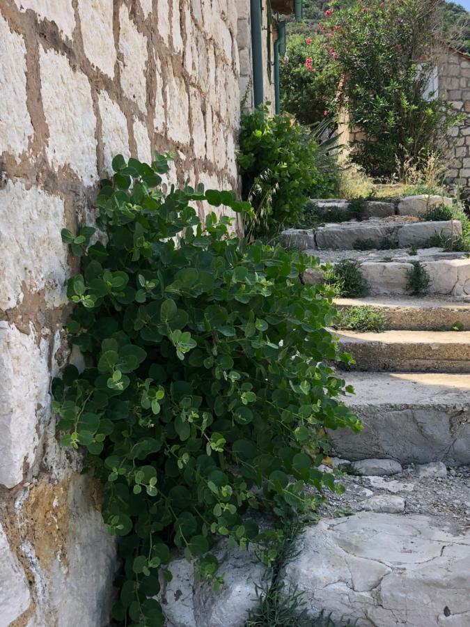 Villa Iva Lastovo Uble エクステリア 写真